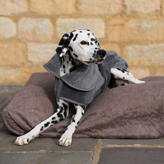 Introducing the ultimate bamboo dog drying cushion cover in beautiful Mole (Brown), made from luxurious bamboo to aid sensitive skin featuring elasticated hem for a snug fit with super absorbent material for easy pet drying! Available now at Lords & Labradors In three sizes and four colors to suit all breeds!