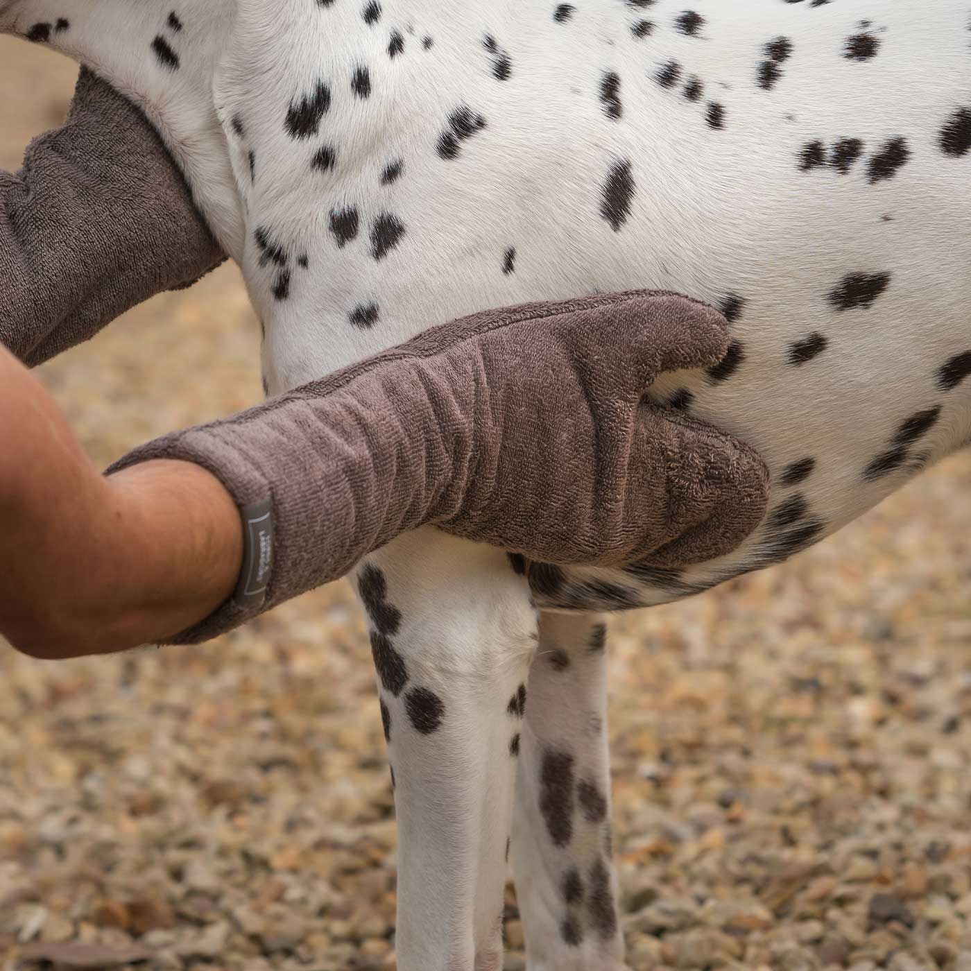 Introducing the ultimate bamboo dog drying mitts in beautiful Mole (Brown), made from luxurious bamboo to aid sensitive skin featuring universal size to fit all with super absorbent material for easy pet drying! The perfect dog drying gloves, available now at Lords & Labradors US, In four colors!