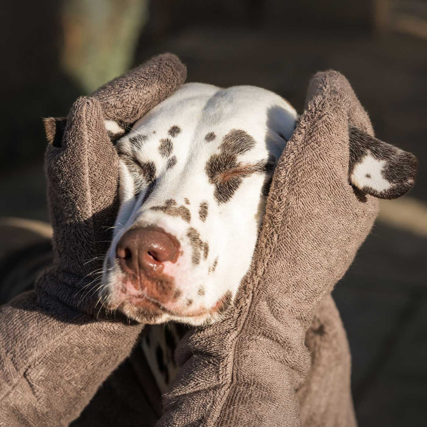 Introducing the ultimate bamboo dog drying mitts in beautiful Mole (Brown), made from luxurious bamboo to aid sensitive skin featuring universal size to fit all with super absorbent material for easy pet drying! The perfect dog drying gloves, available now at Lords & Labradors US, In four colors!