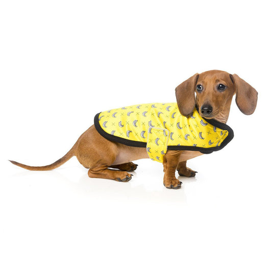 Discover FuzzYard Monkey Mania Wrap Coat. Featuring Velcro fastened straps, and Machine washable. Available in 4 sizes at Lords & Labradors US