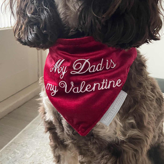 [color:cranberry velvet] Discover The Perfect Bandana For Dogs, 'My Dad Is My Valentine' Valentine Dog Bandana In Luxury Cranberry Velvet, Available Now at Lords & Labradors US