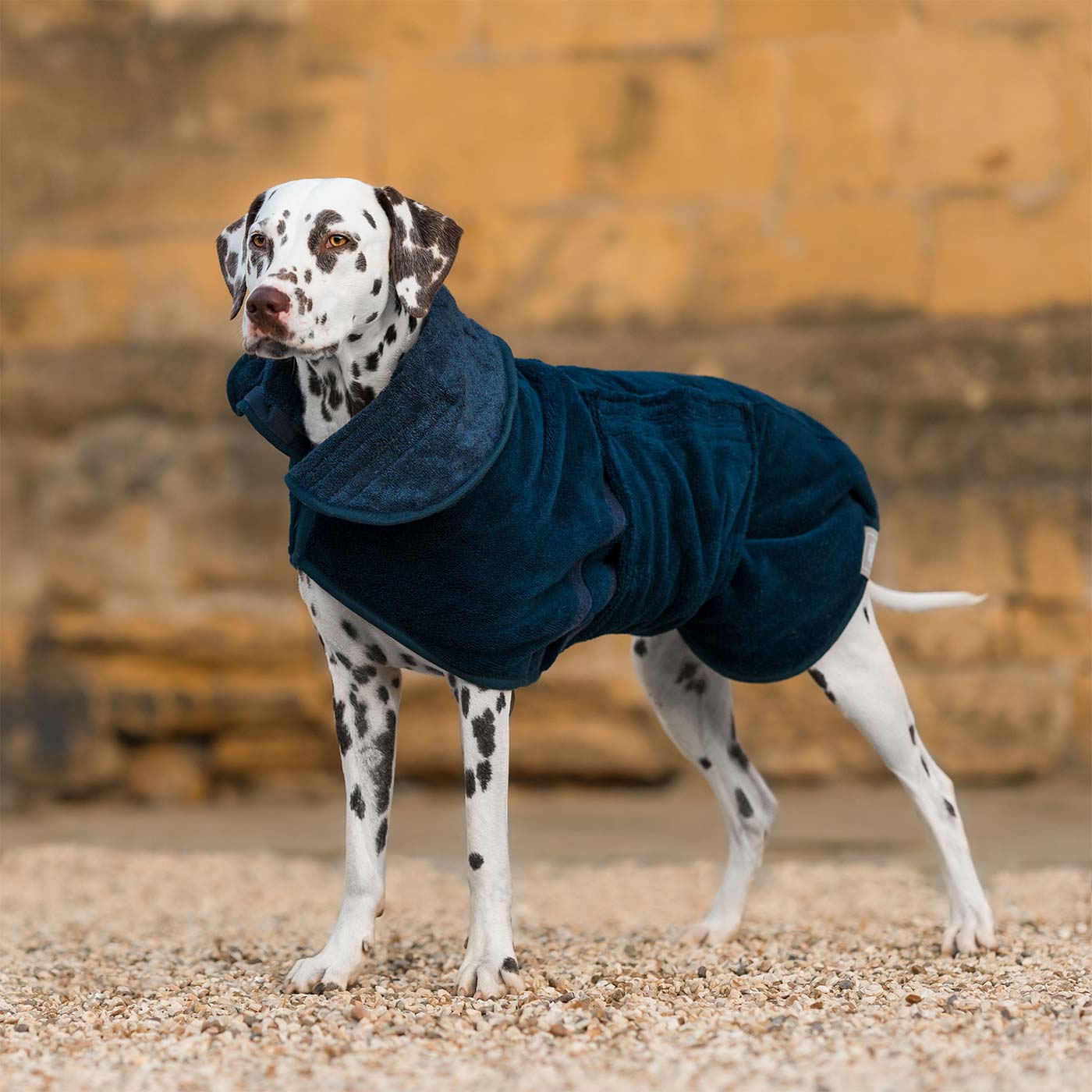 Discover the perfect dog drying with our bamboo dog drying coat in Navy The ideal choice for pet drying after walking and bath-time. Made using luxurious bamboo to aid sensitive skin! Available to personalize now at Lords & Labradors US, in 5 sizes and 4 beautiful colors