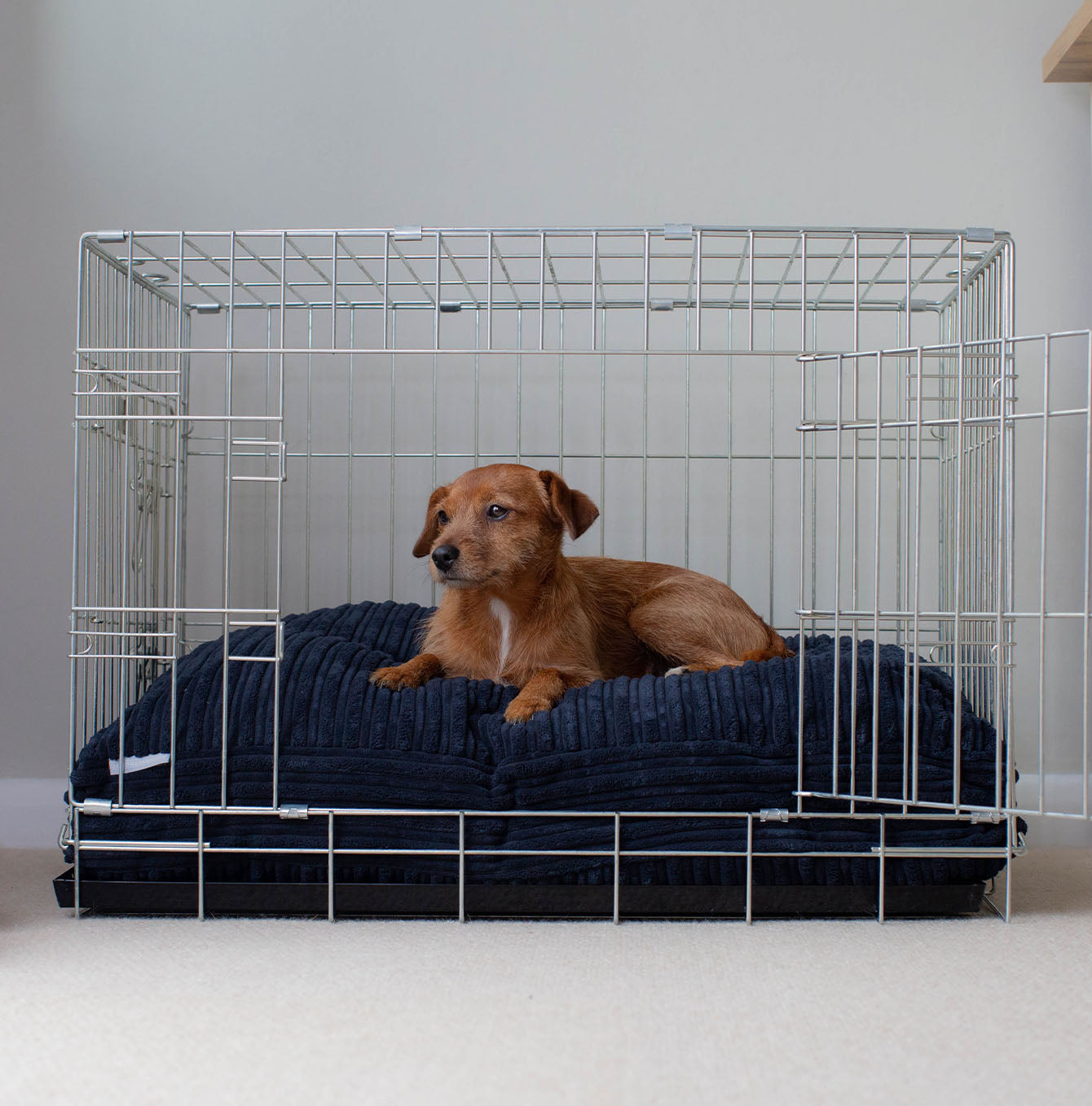 Luxury Dog Cage Cushion, Essentials Plush Cushion in Navy! The Perfect Dog Cage Accessory, Available To Personalize Now at Lords & Labradors US