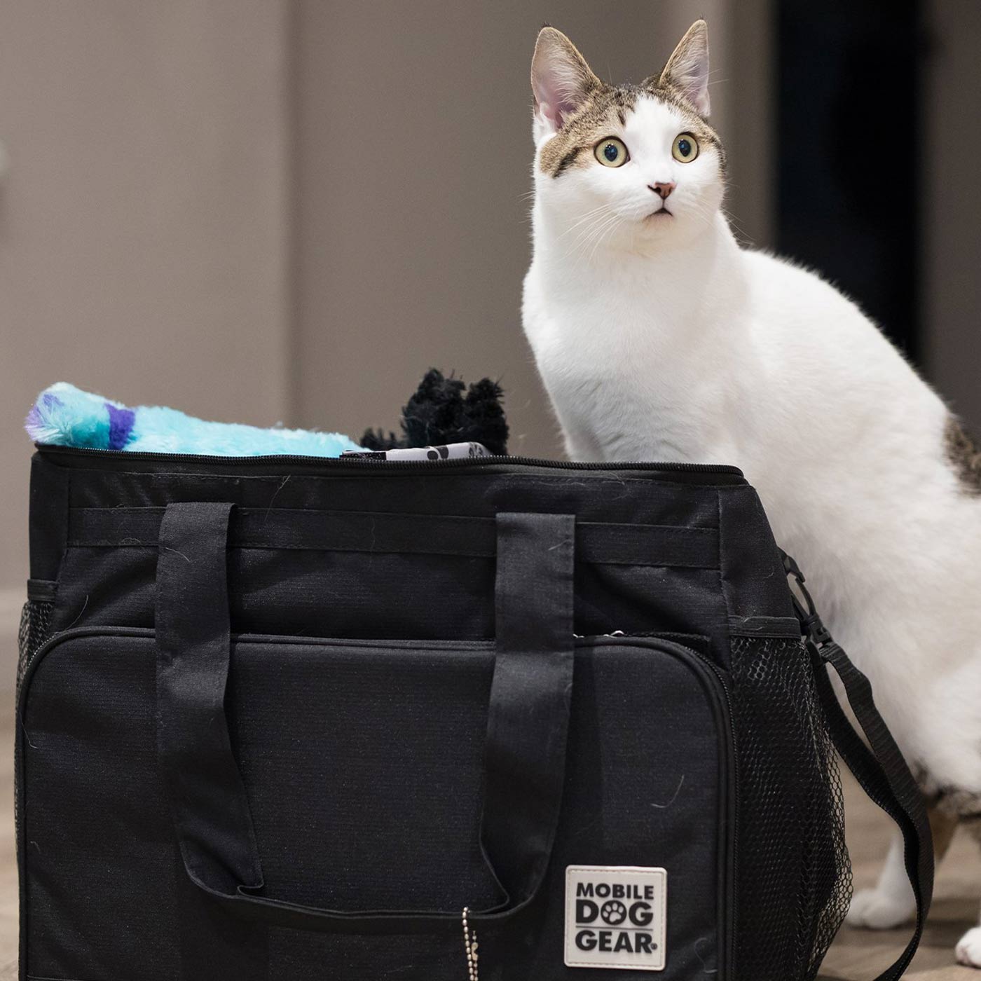 Discover, Mobile Dog Gear Week Away Bag, in Black. The Perfect Away Bag for any Pet Parent, Featuring dividers to stack food and built in waste bag dispenser. Also Included feeding set, collapsible silicone bowls and placemat! The Perfect Gift For travel, meets airline requirements. Available Now at Lords & Labradors US
