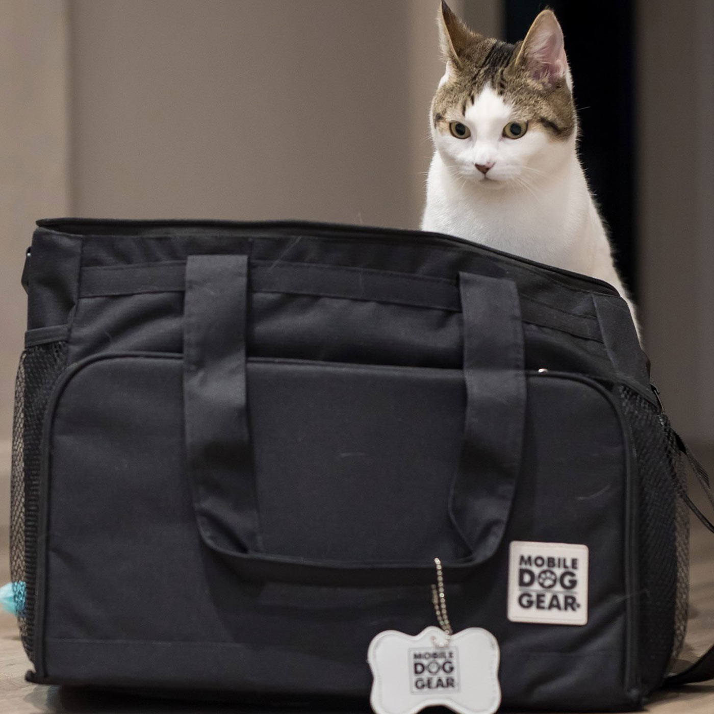 Discover, Mobile Dog Gear Week Away Bag, in Black. The Perfect Away Bag for any Pet Parent, Featuring dividers to stack food and built in waste bag dispenser. Also Included feeding set, collapsible silicone bowls and placemat! The Perfect Gift For travel, meets airline requirements. Available Now at Lords & Labradors US
