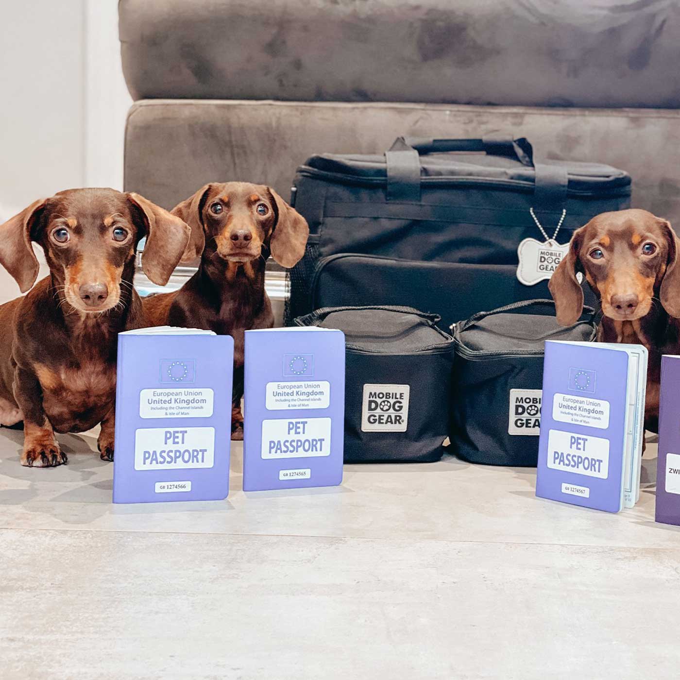 Discover, Mobile Dog Gear Week Away Bag, in Black. The Perfect Away Bag for any Pet Parent, Featuring dividers to stack food and built in waste bag dispenser. Also Included feeding set, collapsible silicone bowls and placemat! The Perfect Gift For travel, meets airline requirements. Available Now at Lords & Labradors US