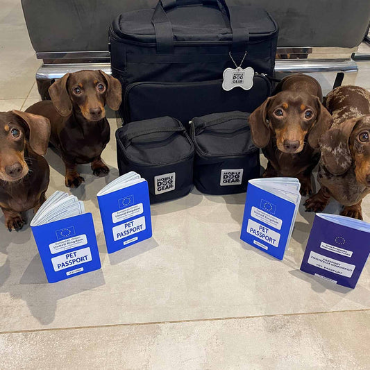 Discover, Mobile Dog Gear Week Away Bag, in Black. The Perfect Away Bag for any Pet Parent, Featuring dividers to stack food and built in waste bag dispenser. Also Included feeding set, collapsible silicone bowls and placemat! The Perfect Gift For travel, meets airline requirements. Available Now at Lords & Labradors US