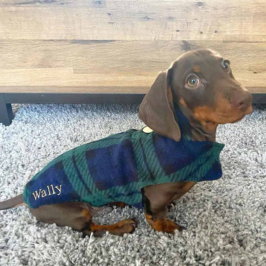  Accessorize Your Pet, With Our Stunning Dachshund Fleece, in Green Tartan! Comes In five Size, And Totally Machine Washable, Available To Personalize Now at Lords & Labradors US
