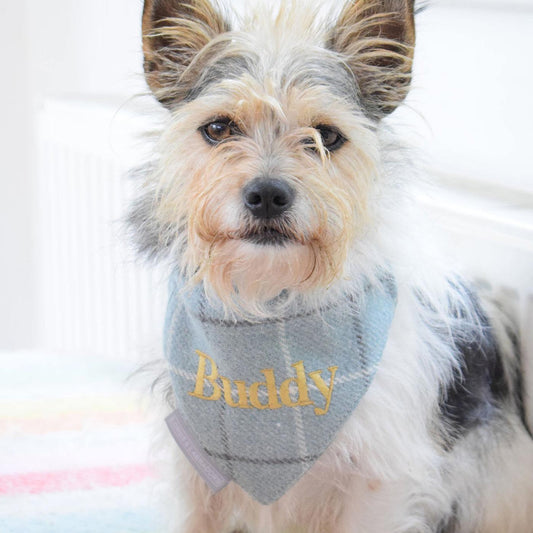 Discover The Perfect Bandana For Dogs, Our Luxury Dog Bandana In Stunning Duck Egg Tweed Bandana, Available To Personalize Now at Lords & Labradors US, Shop Luxury Pet Apparel Now Online