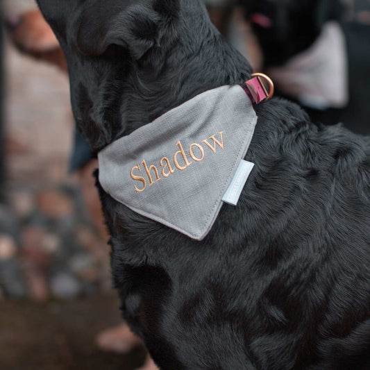[color:savanna stone] Discover The Perfect Luxury Pet Bandana, in Stunning Savanna Stone! Available To Personalize Now at Lords & Labradors US