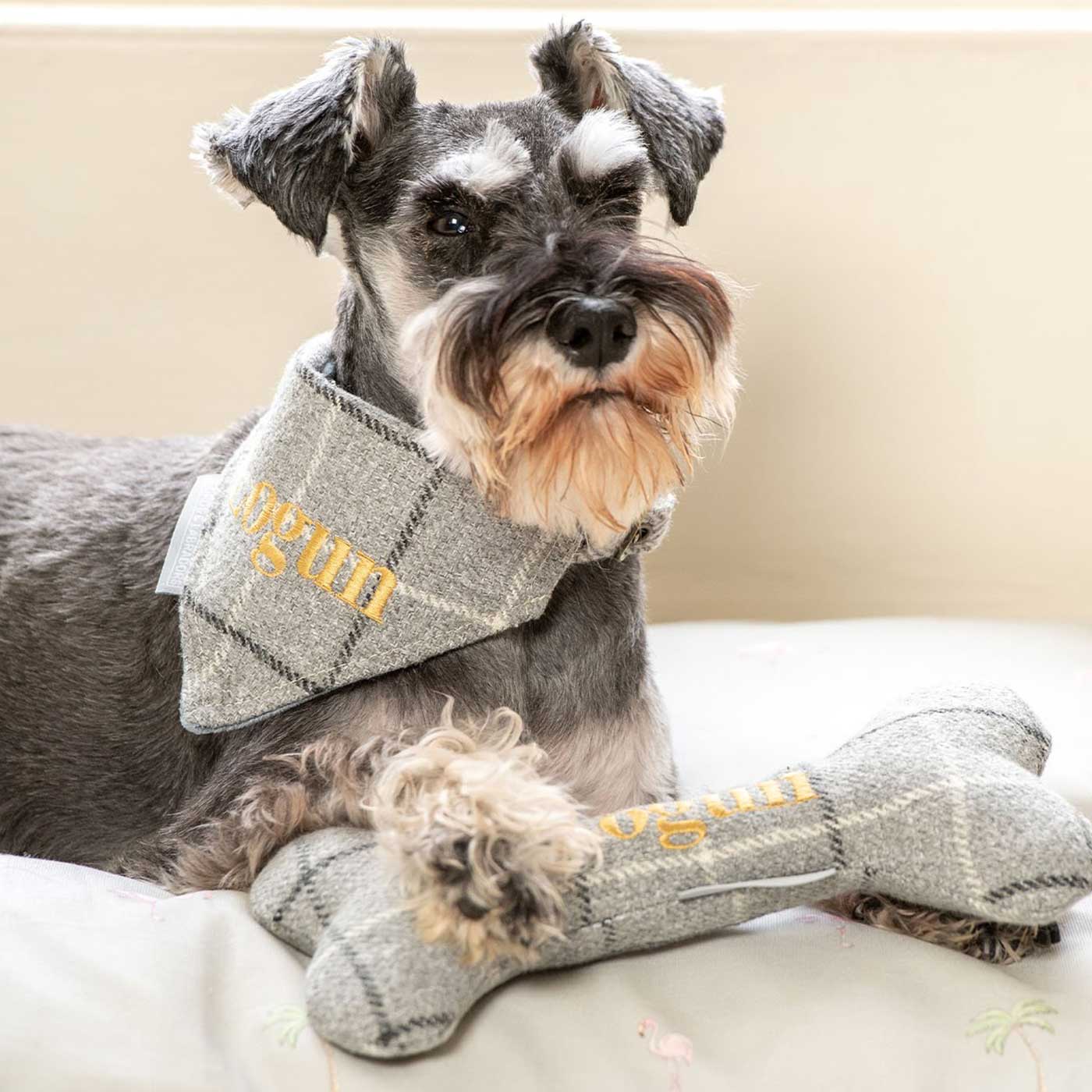 [color:grey tweed check] Present The Perfect Pet Playtime With Our Luxury Dog Bone Toy, In Stunning Balmoral Grey Tweed Check! Available To Personalize Now at Lords & Labradors US, Shop Luxury Dog Toys Online
