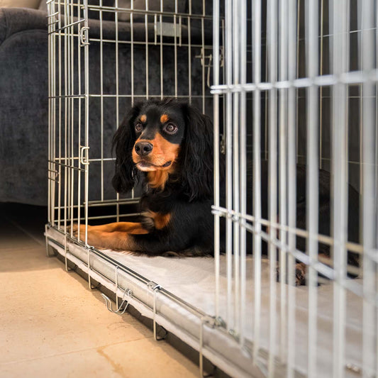 Discover the perfect dog cage accessory, our luxury essentials twill cage mattress in stunning Linen. Present to your furry friend with this Italian handmade cage mattress for dogs, available now at Lords & Labradors US