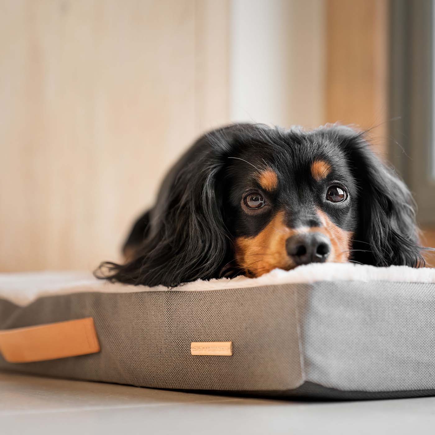 Essentials Twill Orthopaedic Mattress in Slate by Lords & Labradors
