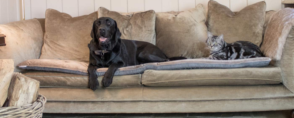How To Measure For Your Lords & Labradors Luxury Couch Topper
