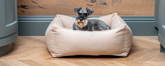 Luxury Dog Beds for All Home Decors – The L&L Luxury Bed Collection