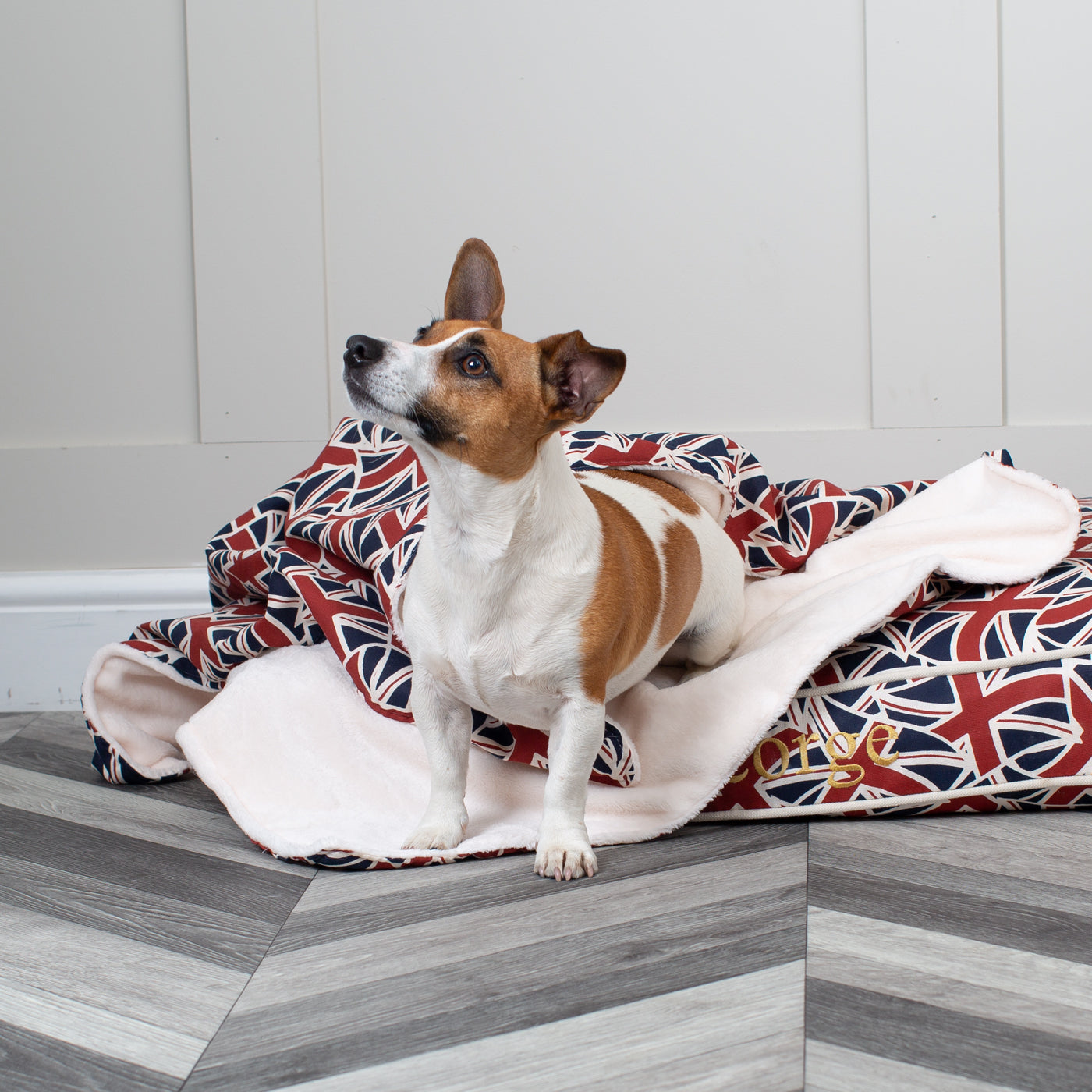 Discover Our Luxurious Dog Blanket In Stunning Union Jack, The Perfect Blanket For Puppies, Available To Personalize And In 2 Sizes Here at Lords & Labradors US