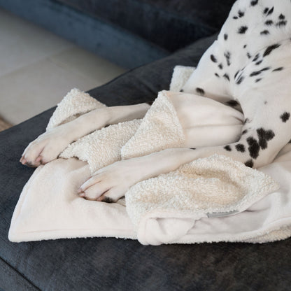 Discover Our Luxurious Dog Blanket In Luxury Ivory Bouclé Super Soft Sherpa & Teddy Fleece Lining, The Perfect Blanket For Puppies, Available To Personalize And In 2 Sizes Here at Lords & Labradors US