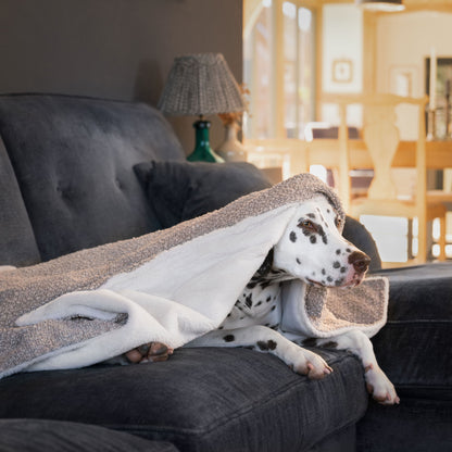 Discover Our Luxurious Dog Blanket In Luxury Mink Bouclé Super Soft Sherpa & Teddy Fleece Lining, The Perfect Blanket For Puppies, Available To Personalize And In 2 Sizes Here at Lords & Labradors US