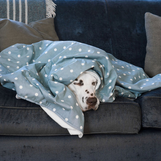 Discover Our Luxurious Dog Blanket In Stunning Duck Egg Spot, The Perfect Blanket For Puppies, Available To Personalize And In 2 Sizes Here at Lords & Labradors US