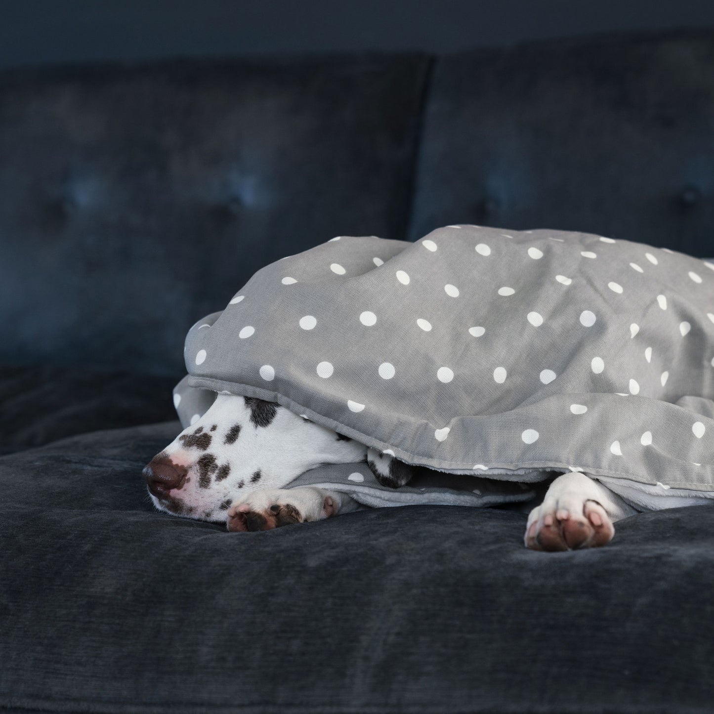 Discover Our Luxurious Dog Blanket In Stunning Grey Spot, The Perfect Blanket For Puppies, Available To Personalize And In 2 Sizes Here at Lords & Labradors US