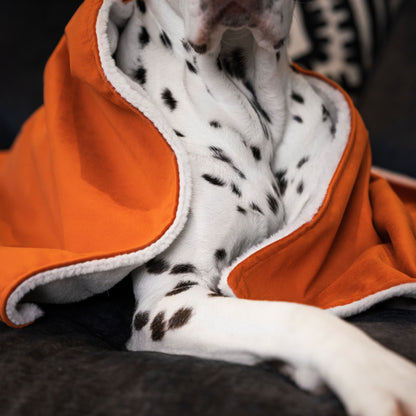 Dog & Puppy Blanket in Pumpkin Velvet By Lords & Labradors