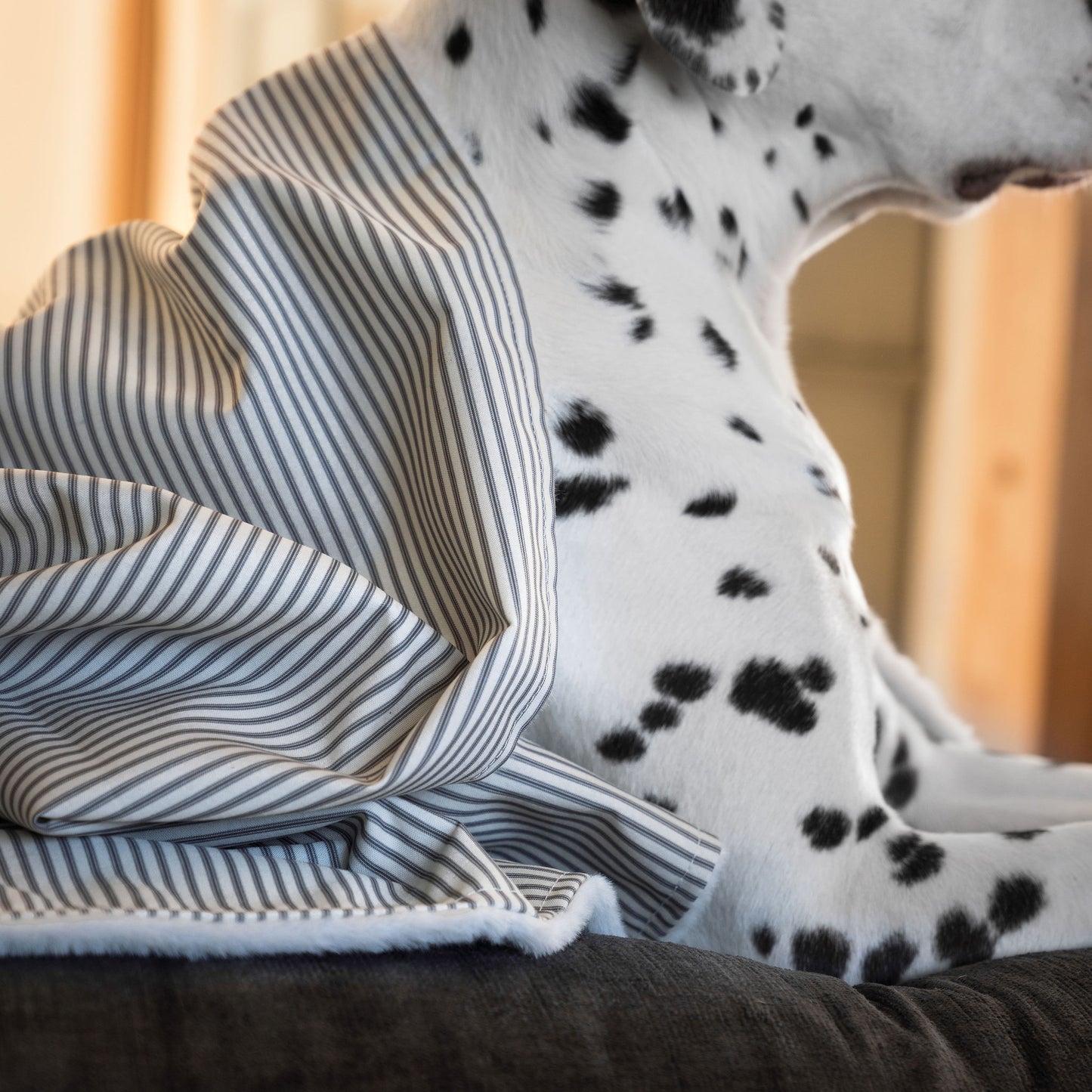 Discover Our Luxurious Dog Blanket In Stunning Regency Stripe, The Perfect Blanket For Puppies, Available To Personalize And In 2 Sizes Here at Lords & Labradors US