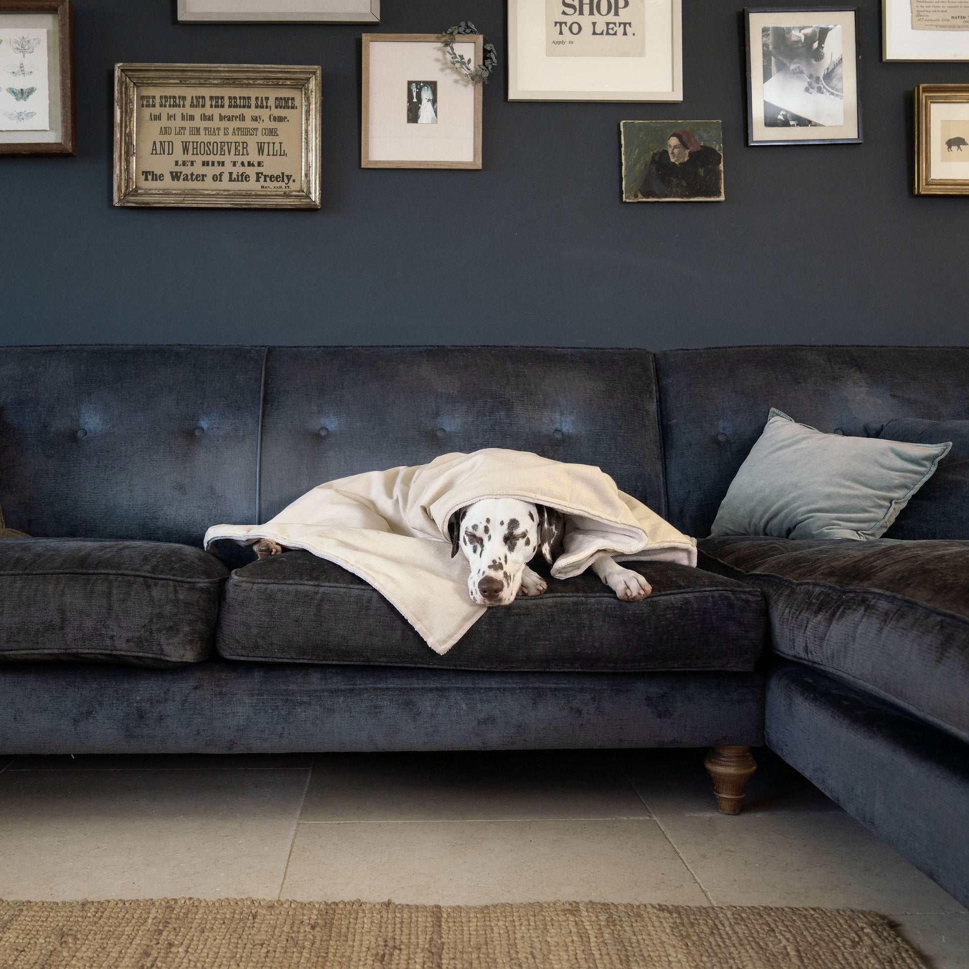 Discover Our Luxurious Savanna Bone Dog Blanket With Super Soft Sherpa & Teddy Fleece, The Perfect Blanket For Puppies, Available To Personalize And In 2 Sizes Here at Lords & Labradors US