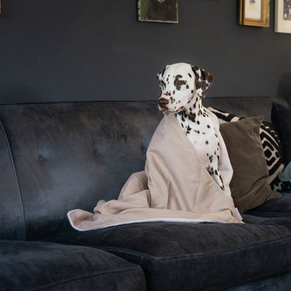 Discover Our Luxurious Savanna Oatmeal Dog Blanket With Super Soft Sherpa & Teddy Fleece, The Perfect Blanket For Puppies, Available To Personalize And In 2 Sizes Here at Lords & Labradors US