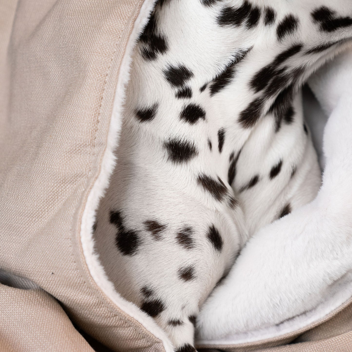 Discover Our Luxurious Savanna Oatmeal Dog Blanket With Super Soft Sherpa & Teddy Fleece, The Perfect Blanket For Puppies, Available To Personalize And In 2 Sizes Here at Lords & Labradors US