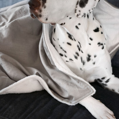 Discover Our Luxurious Savanna Stone Dog Blanket With Super Soft Sherpa & Teddy Fleece, The Perfect Blanket For Puppies, Available To Personalize And In 2 Sizes Here at Lords & Labradors US