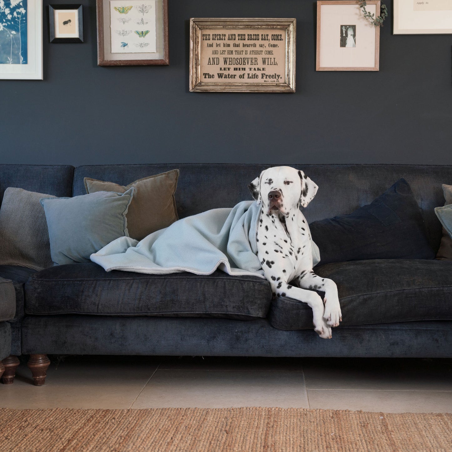 Discover Our Luxurious Pewter Herringbone Tweed Dog Blanket With Super Soft Sherpa & Teddy Fleece, The Perfect Blanket For Puppies, Available To Personalize And In 2 Sizes Here at Lords & Labradors US