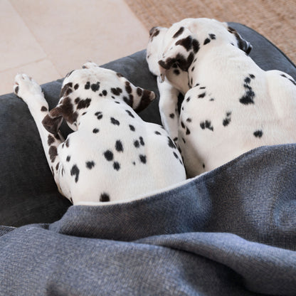 Discover Our Luxurious Oxford Herringbone Tweed Dog Blanket With Super Soft Sherpa & Teddy Fleece, The Perfect Blanket For Puppies, Available To Personalize And In 2 Sizes Here at Lords & Labradors US