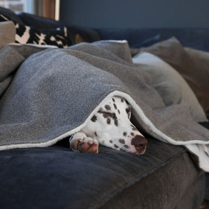 Discover Our Luxurious Pewter Herringbone Tweed Dog Blanket With Super Soft Sherpa & Teddy Fleece, The Perfect Blanket For Puppies, Available To Personalize And In 2 Sizes Here at Lords & Labradors US