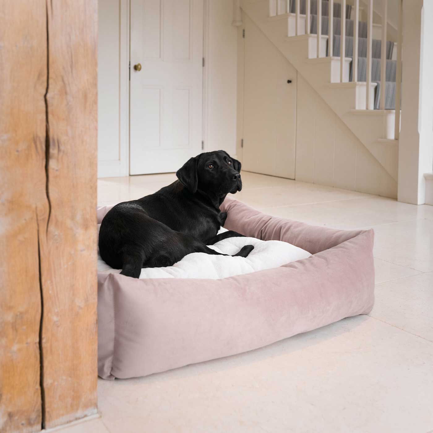 Box Bed For Dogs In Blossom Velvet By Lords & Labradors