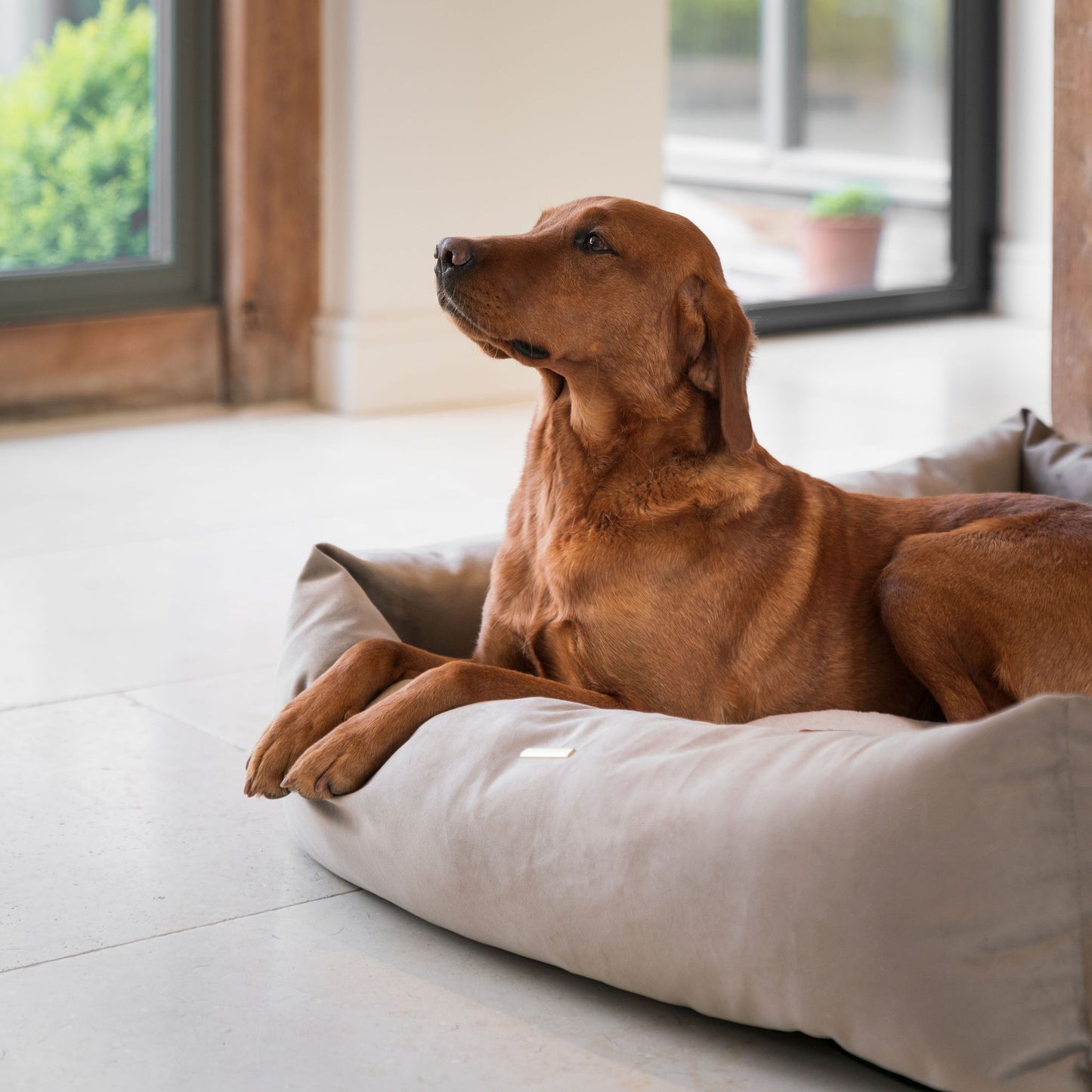 Box Bed For Dogs In Clay Velvet By Lords & Labradors