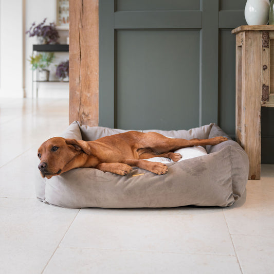 Box Bed For Dogs In Clay Velvet By Lords & Labradors