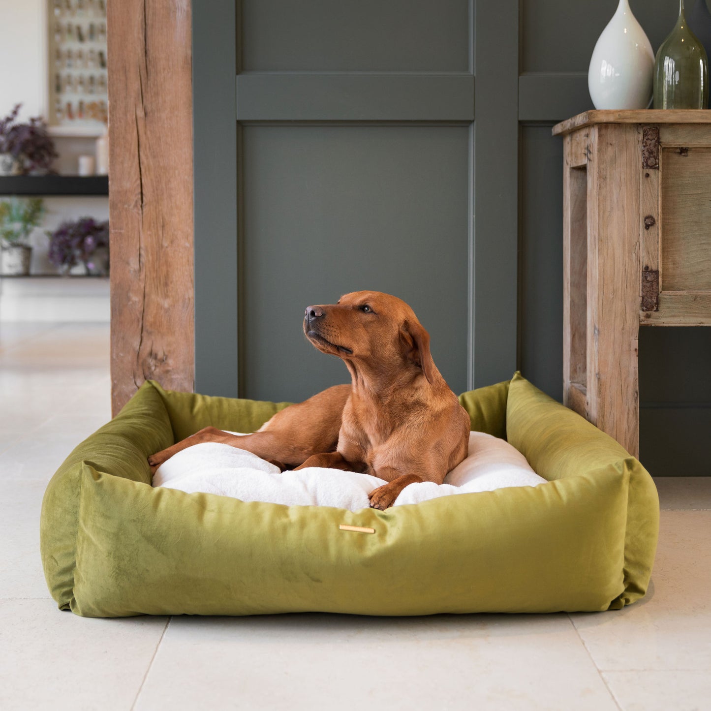 Box Bed For Dogs In Olive Velvet By Lords & Labradors