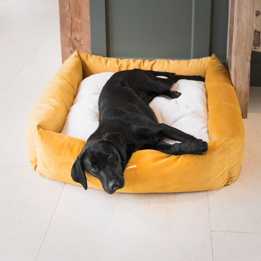 Box Bed For Dogs In Saffron Velvet By Lords & Labradors