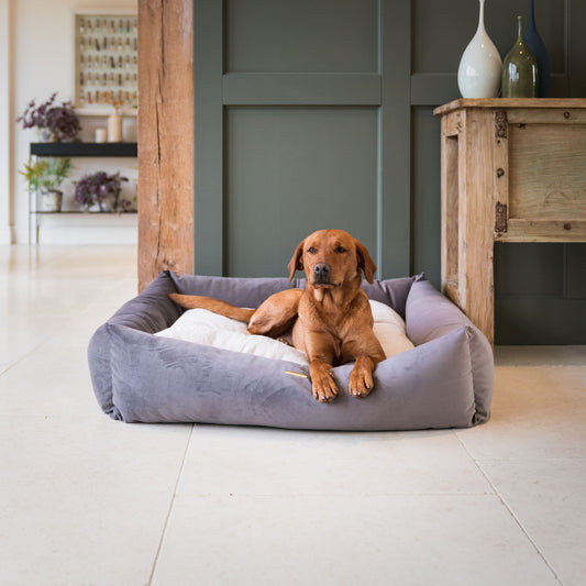 Box Bed For Dogs In Silt Velvet By Lords & Labradors