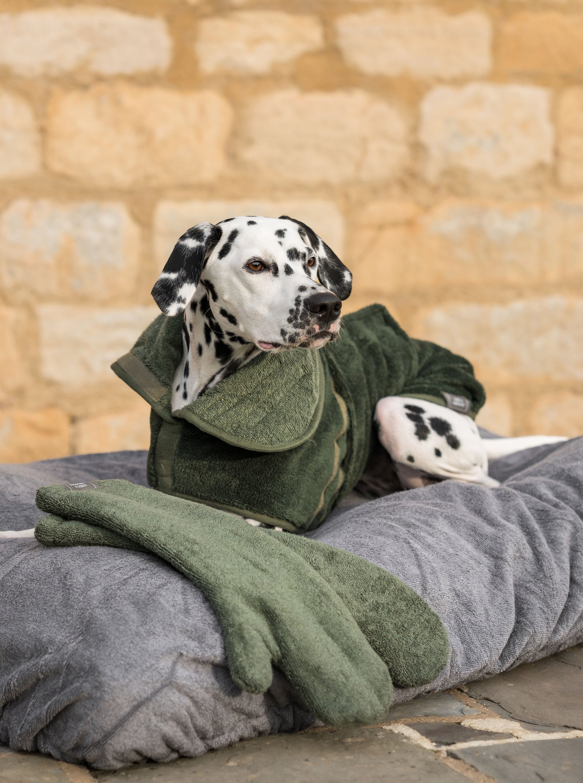 Introducing the ultimate bamboo dog drying mitts in beautiful fir green, made from luxurious bamboo to aid sensitive skin featuring universal size to fit all with super absorbent material for easy pet drying! The perfect dog drying gloves, available now at Lords & Labradors US, In four colors!