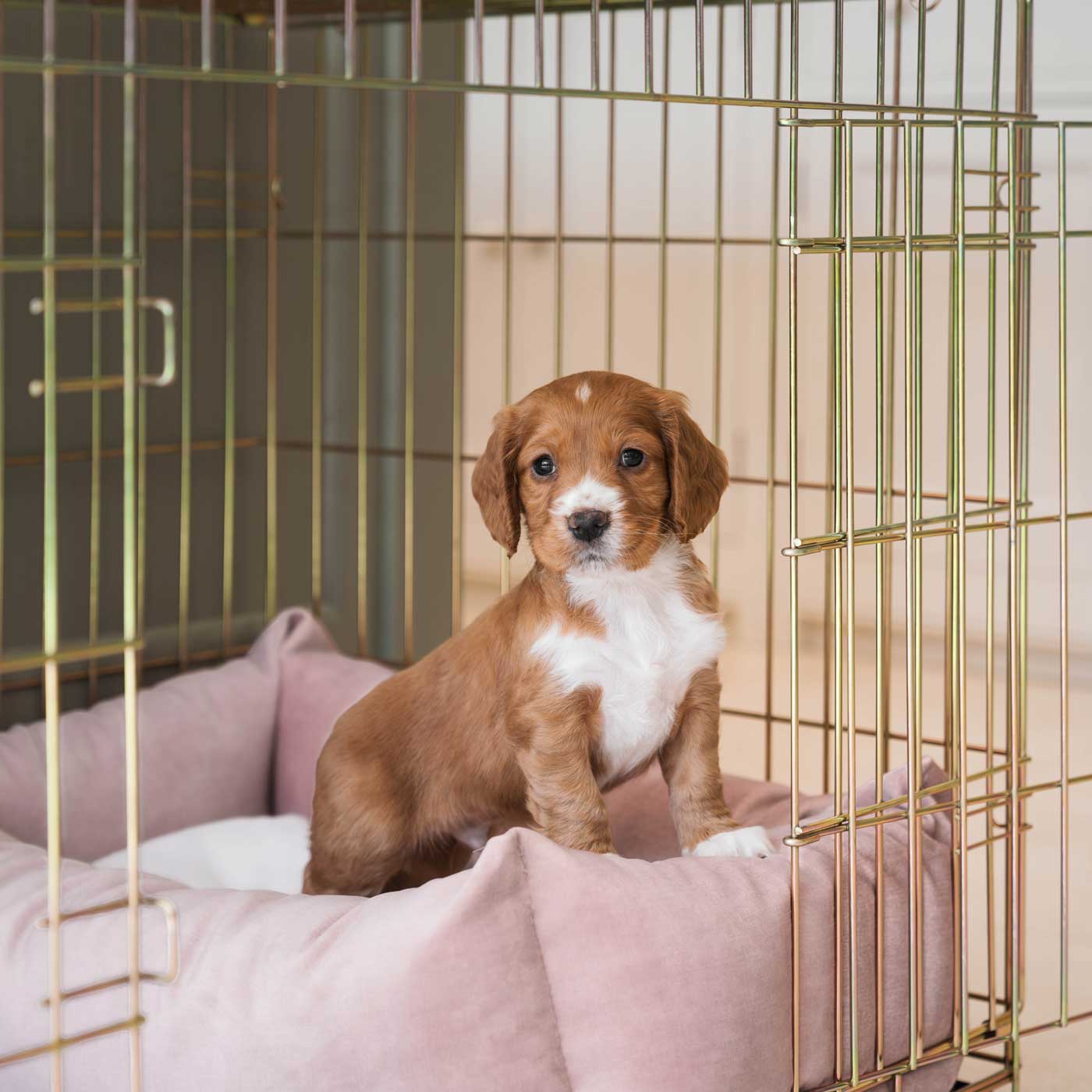 Cozy & Calming Puppy Cage Bed In Blossom Velvet By Lords & Labradors