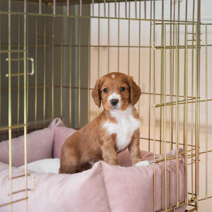 Cozy & Calming Puppy Cage Bed In Blossom Velvet By Lords & Labradors