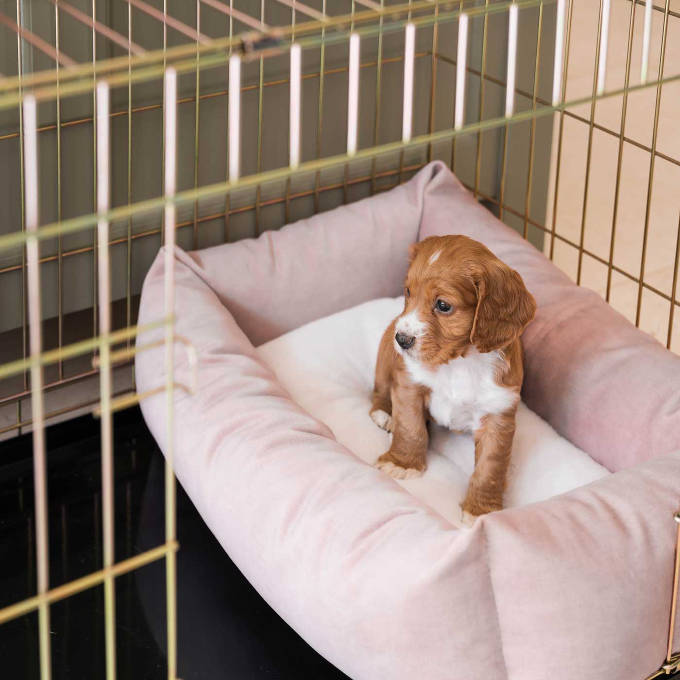 Cozy & Calming Puppy Cage Bed In Blossom Velvet By Lords & Labradors