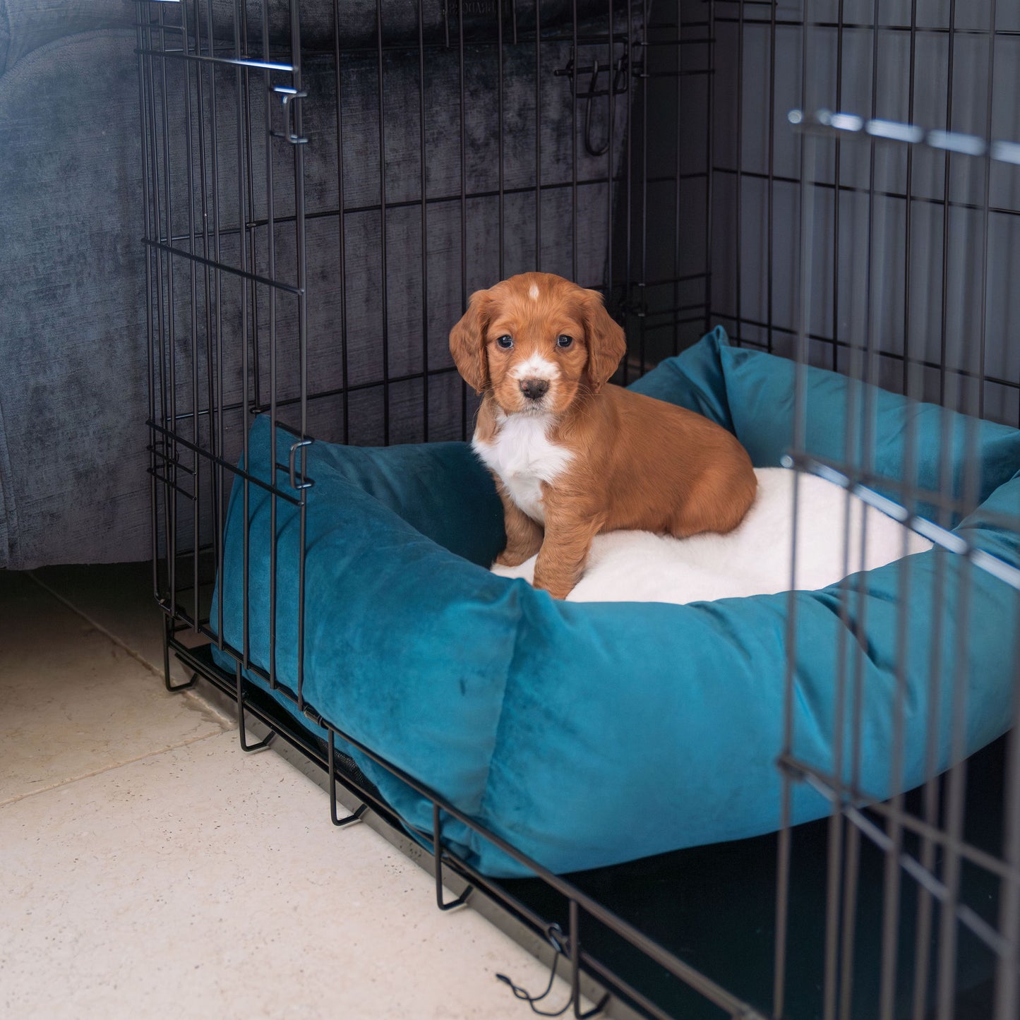 Cozy & Calming Puppy Cage Bed In Marine Velvet By Lords & Labradors