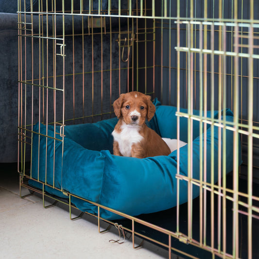 Cozy & Calming Puppy Cage Bed In Marine Velvet By Lords & Labradors