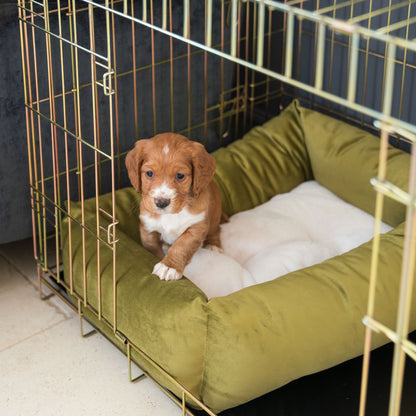 Cozy & Calming Puppy Cage Bed In Olive Velvet By Lords & Labradors