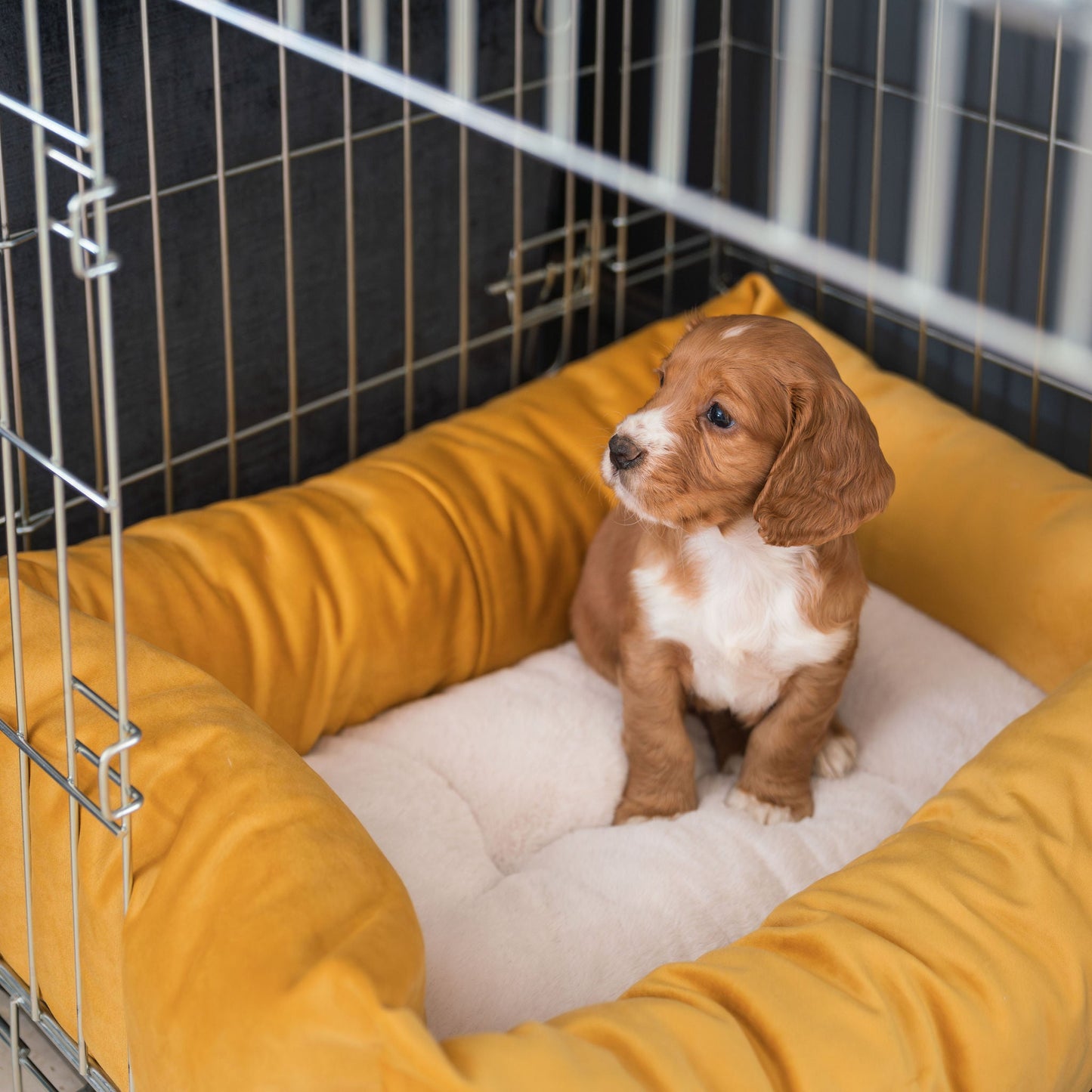 Dog Cage with Cozy & Calming Puppy Cage Bed in Saffron Velvet by Lords & Labradors