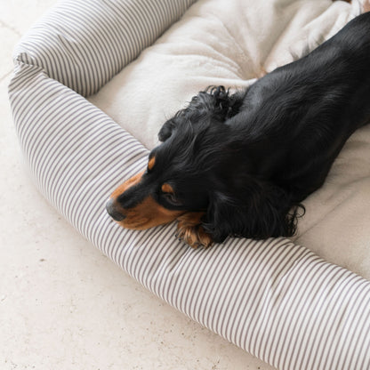 Box Bed For Dogs in Spots & Stripes by Lords & Labradors