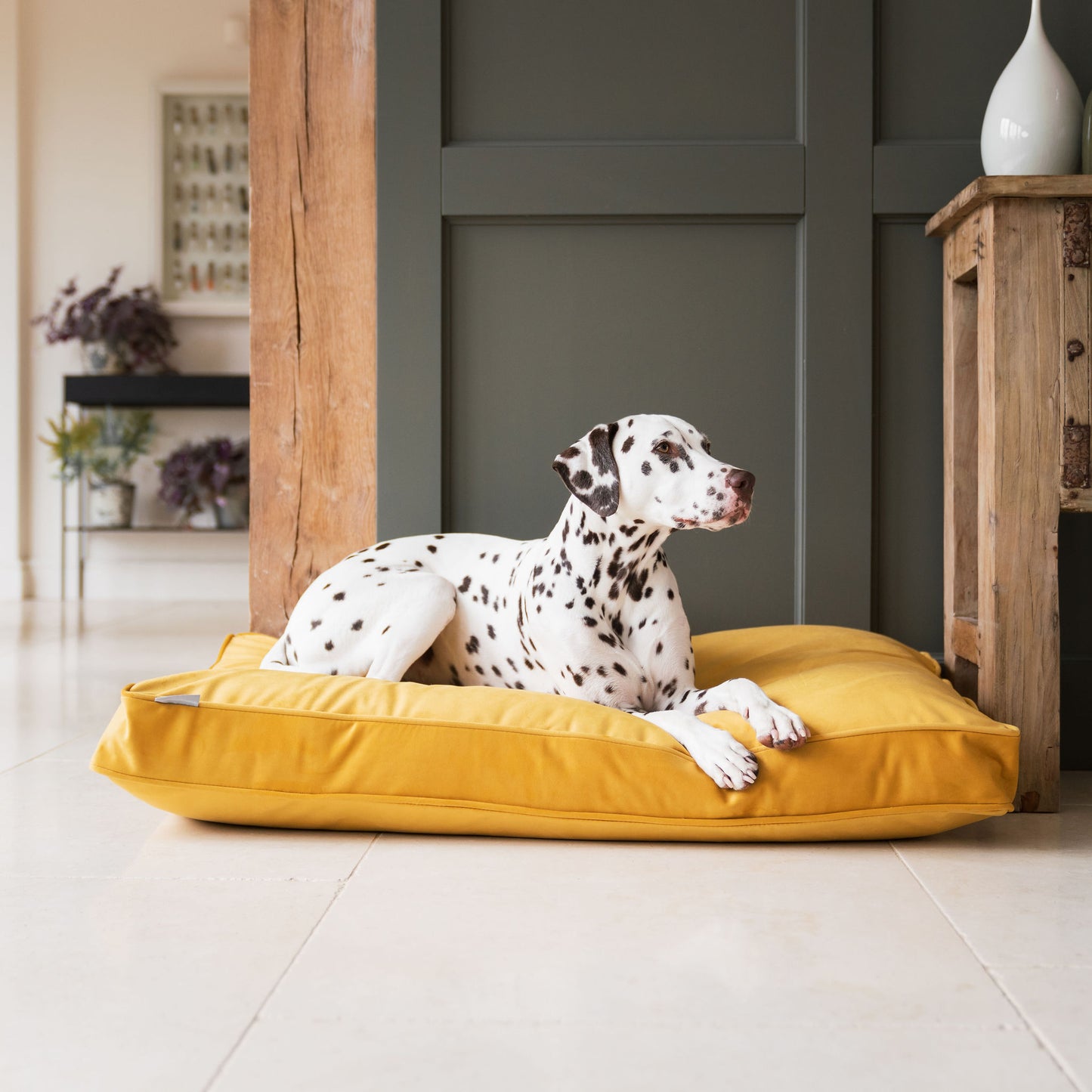 Dog Cushion in Saffron by Velvet Lords & Labradors