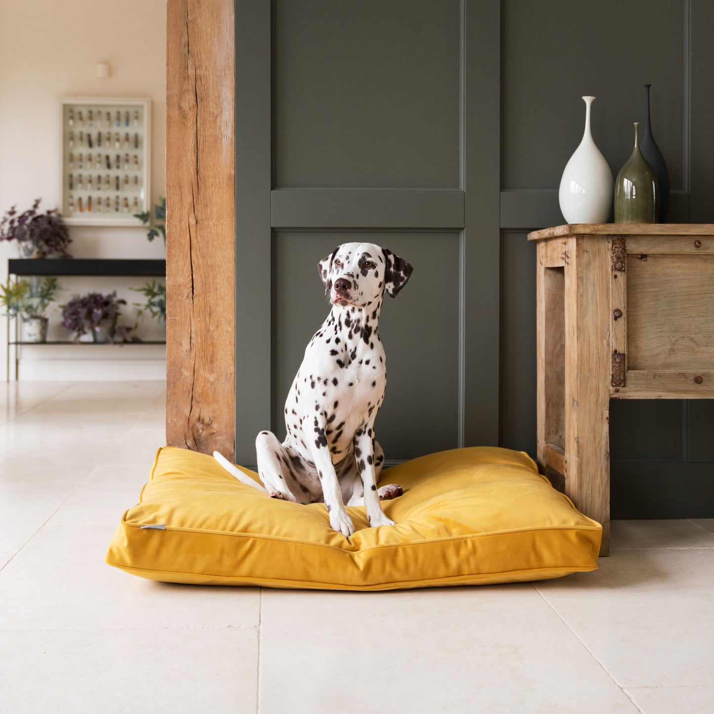 Dog Cushion in Saffron by Velvet Lords & Labradors